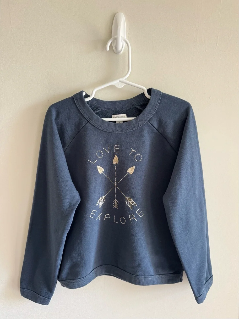 Gymboree “Love to Explore” Pullover